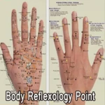 Logo of Body Reflexology Point android Application 