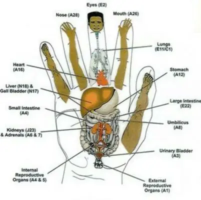 Body Reflexology Point android App screenshot 3