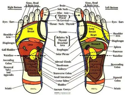 Body Reflexology Point android App screenshot 4