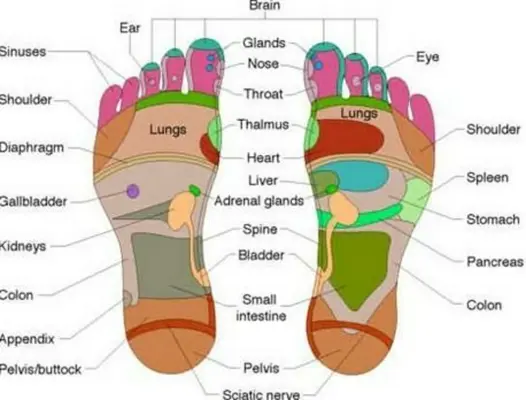 Body Reflexology Point android App screenshot 7