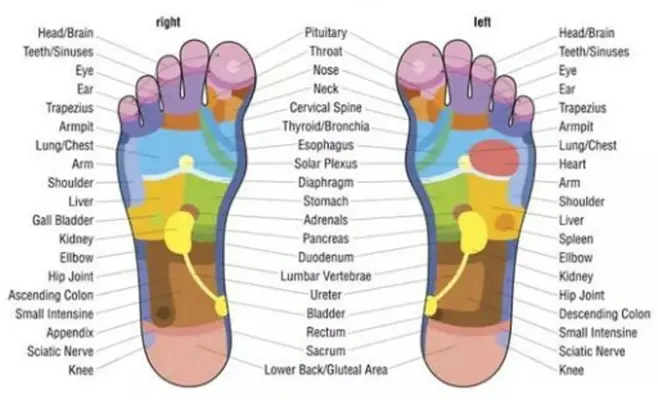 Body Reflexology Point android App screenshot 8